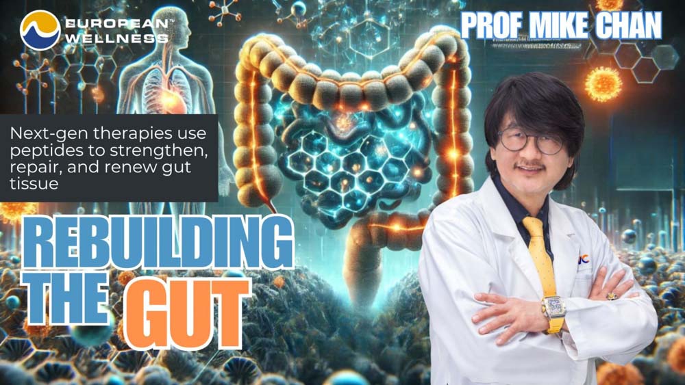 Rebuilding the Gut