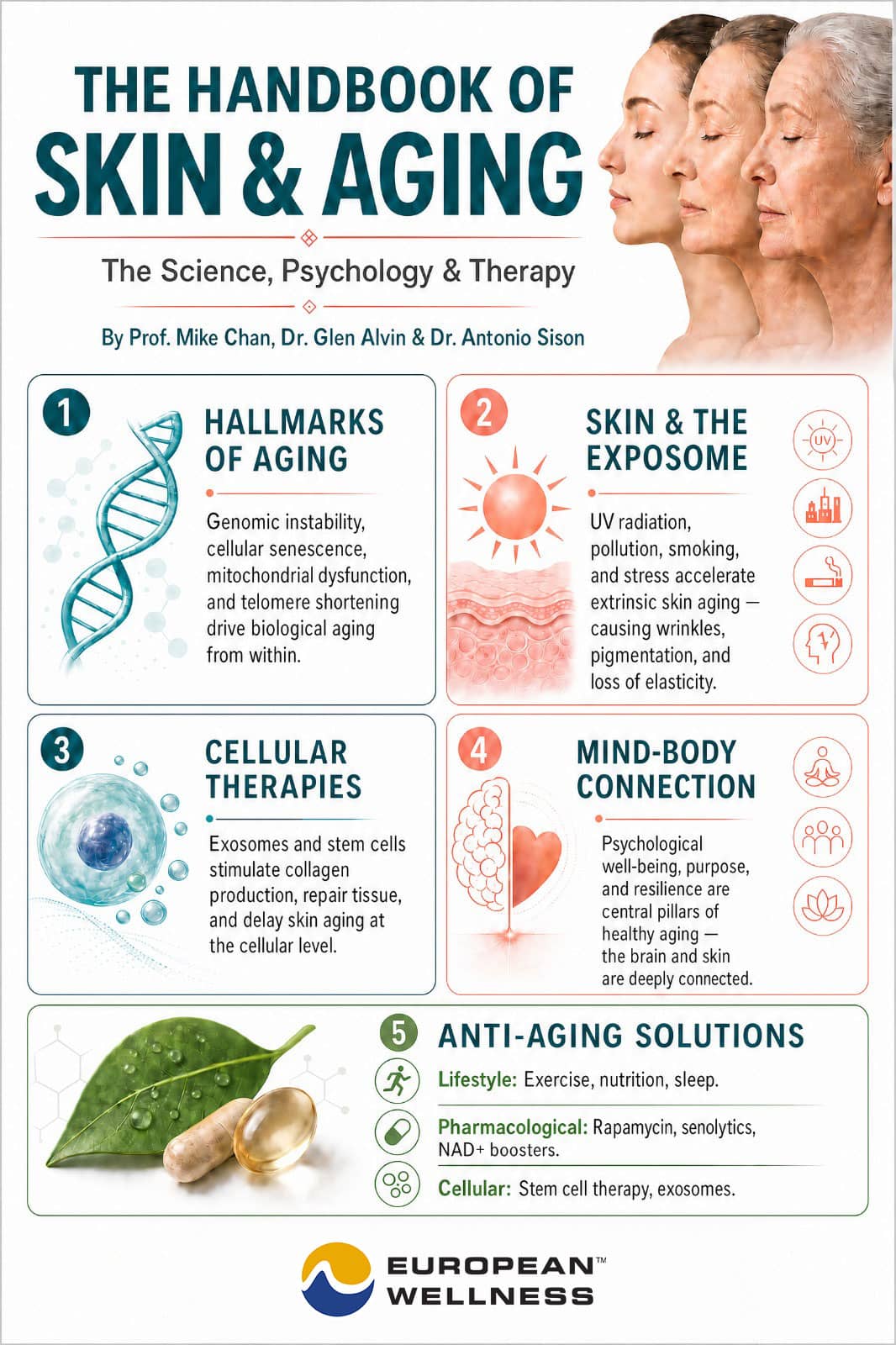 An overview of the five key themes explored in The Handbook of Skin & Aging