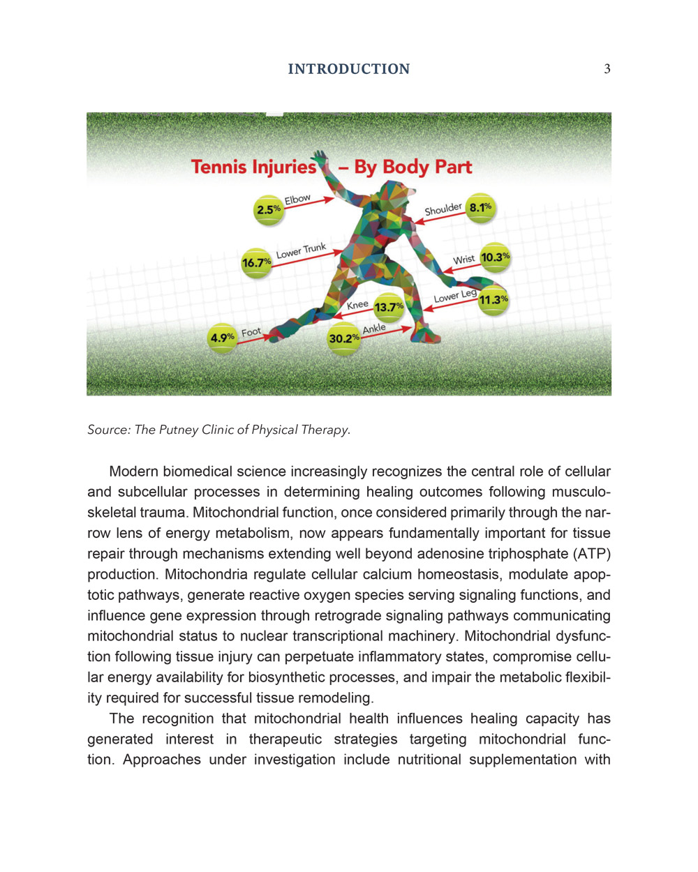 Tennis Sport, Trauma, and Biological Healing - Image 23